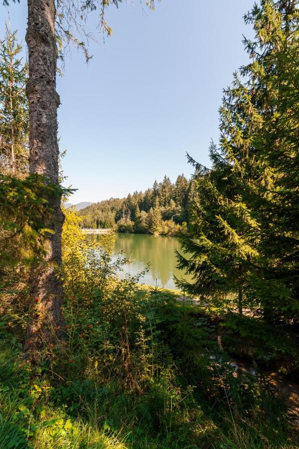 Vila Viktoria - Apartman Viktoria 2 Ruzomberok Exteriör bild